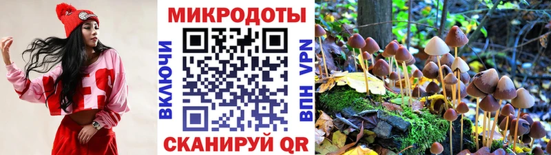 Псилоцибиновые грибы ЛСД  дарнет шоп  Ивангород 